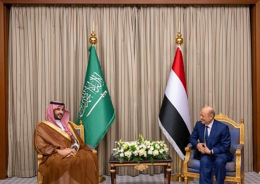 مجلس القيادة يلتقي وزير الدفاع السعودي