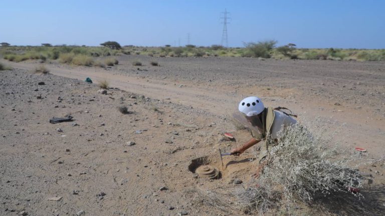 نحو 400 قتيلا مدنيا بينهم 100 طفل جراء الألغام في اليمن