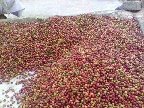 توقع أممي بانخفاض معدل نمو الناتج المحلي في اليمن