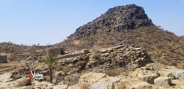 صورة لقمة السوداء من تصوير صلاح عبيد