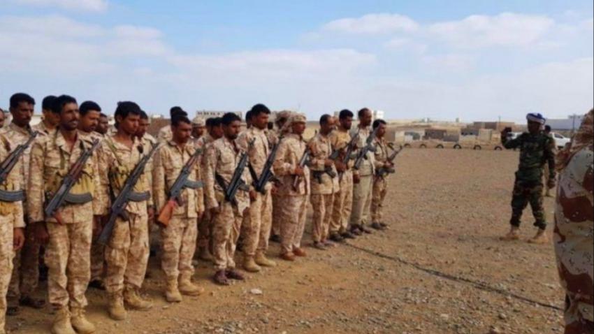 لجنة مشتركة من الإنتقالي وإماراتيين تصل سقطرى 