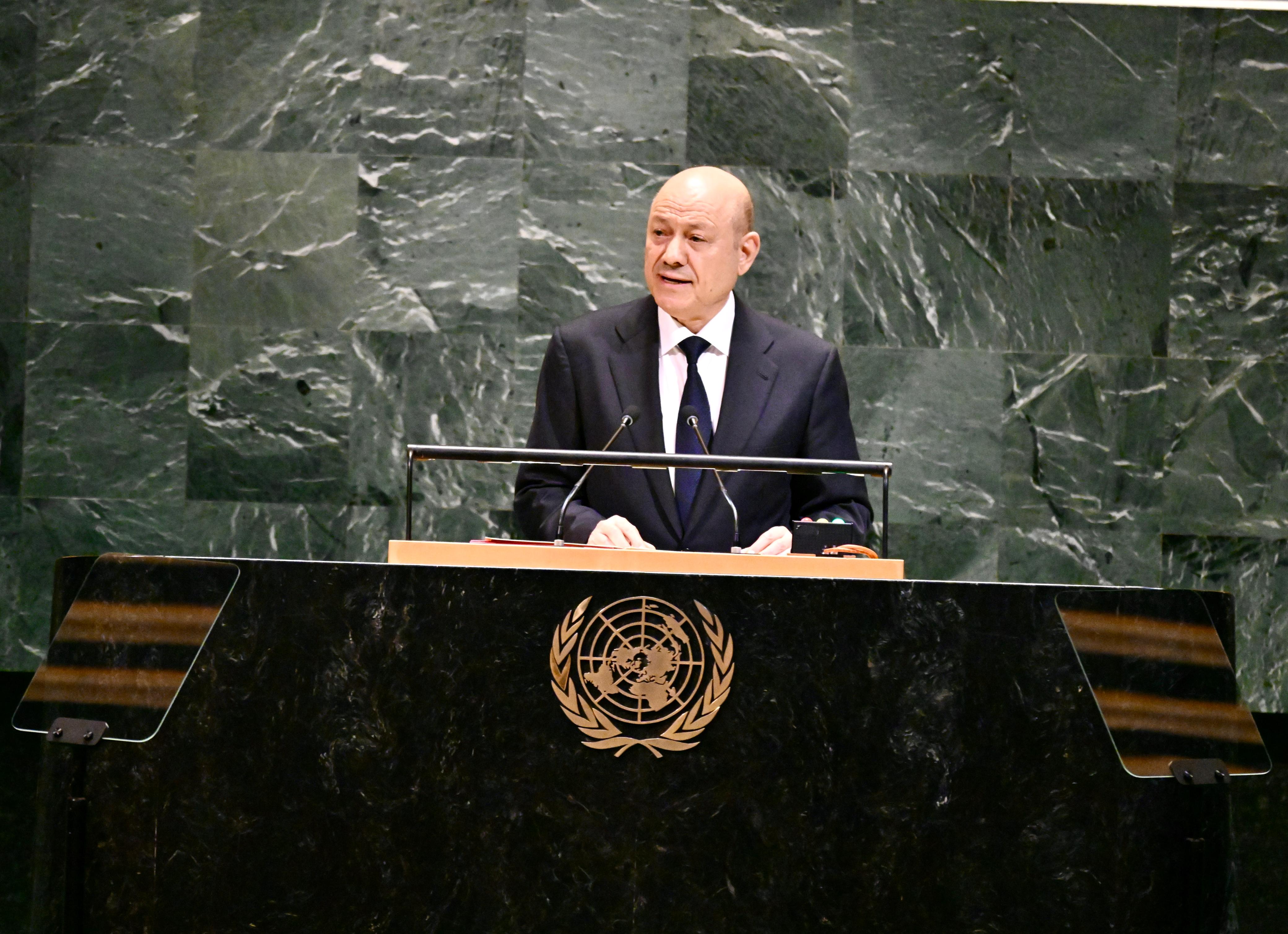 العليمي يدعو إلى تحالف دولي لإعادة بناء الدولة اليمنية وتحجيم مليشيات الحوثي