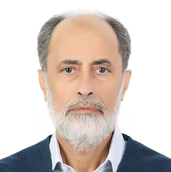 د. محمد أحمد الأفندي  